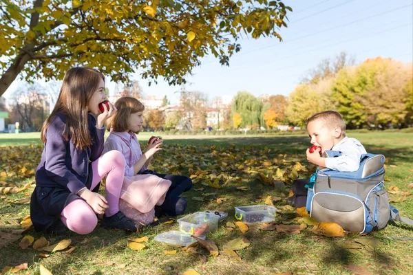 Осенний портрет детей с обеденными коробками, школьными рюкзаками . — стоковое фото