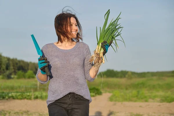 Petani wanita dewasa berjalan melalui kebun dengan bawang segar hijau . — Stok Foto