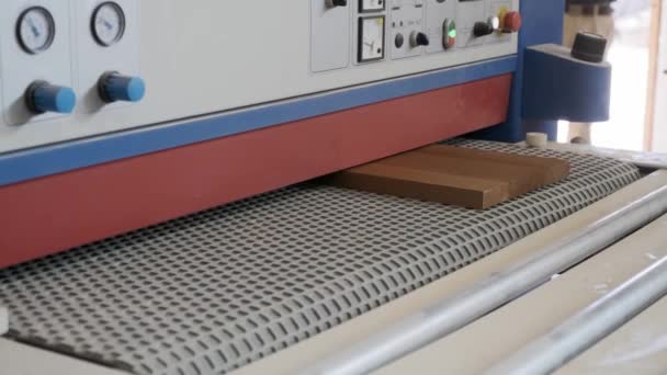 Kyiv 2019 Möbeltischler Workshop Arbeiten Automatische Schleifmaschine Für Holzplatten — Stockvideo