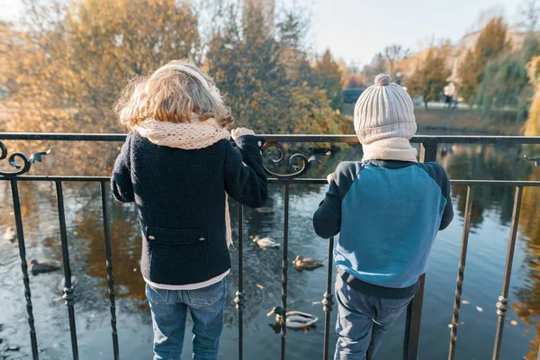 Niños niño y niña de pie con la espalda cerca del estanque en el parque, mirando a los patos, día soleado de otoño en el parque, hora dorada — Foto de Stock