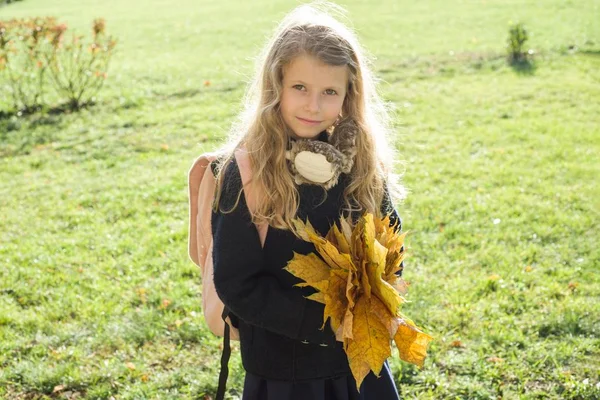 Πορτρέτο του μικρού μαθήτρια με κίτρινο σφενδάμι φύλλα σχολική τσάντα, την ηλιόλουστη μέρα του φθινοπώρου — Φωτογραφία Αρχείου