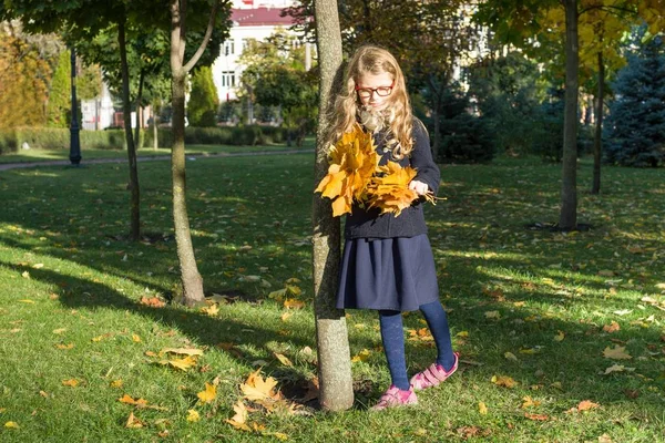 Parque soleado de otoño, niña con un ramo de hojas de arce amarillo, espacio para copiar — Foto de Stock