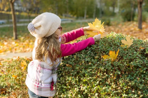 Осенний солнечный фон, маленькая девочка играет с желтыми кленовыми листьями — стоковое фото