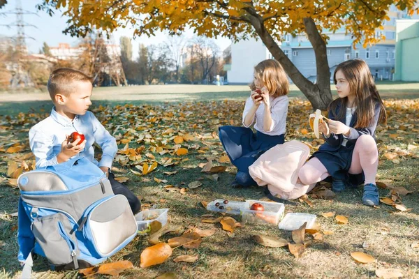 Höst porträtt av barn med lunchlådor, skolväskor. Glada skolbarn äter frukt som sitter under ett höst träd, skrattar och pratar. Hälsosam mat och hälsosam livsstil — Stockfoto