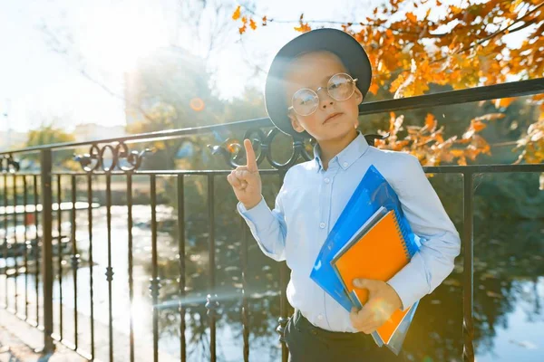 Kleine slimme jongen in glazen met boeken, toont index vinger omhoog idee, Eureka. Achtergrond herfst Sunnypark, gouden uur — Stockfoto
