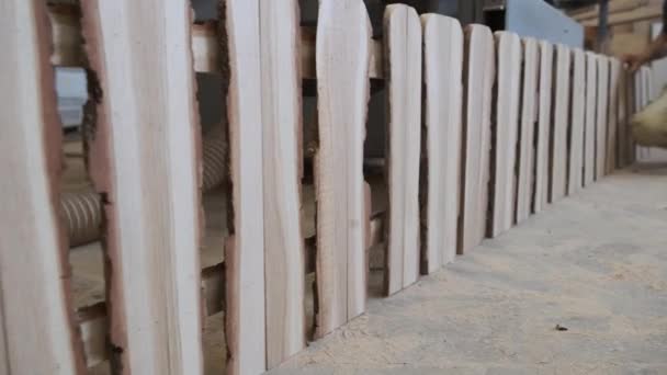 Drewniany Ogrodzenie Warsztacie Stolarniczym Tło Maszyn Obróbki Drewna Krótkie Ogrodzenie — Wideo stockowe