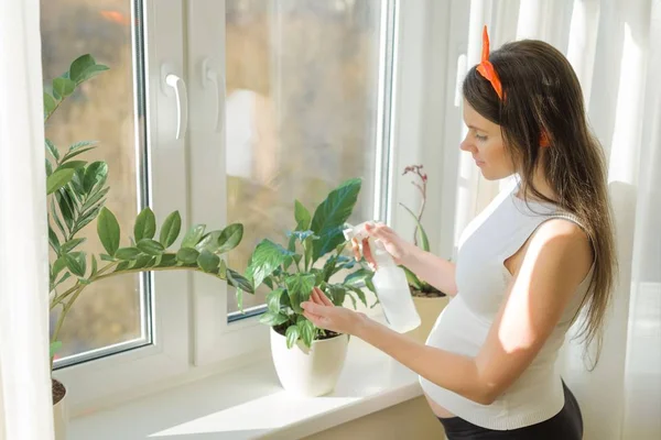 Jovem bela mulher grávida em casa perto da janela cuidando de plantas — Fotografia de Stock