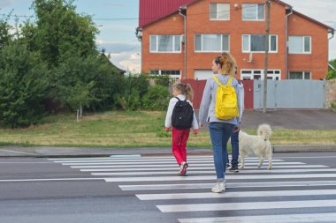 Zebra geçişi üzerinde yol geçişi yapan çocuk grubu