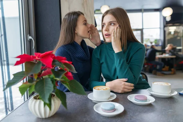 Två unga vackra kvinnor i hemlighet sitter vid ett bord i ett kafé, flickor viskar en hemlighet i sitt öra — Stockfoto