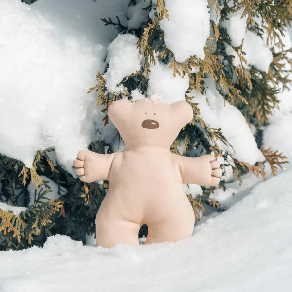 Hello winter, green bush covered with snow with textile Christmas bear toy — Stock Photo, Image
