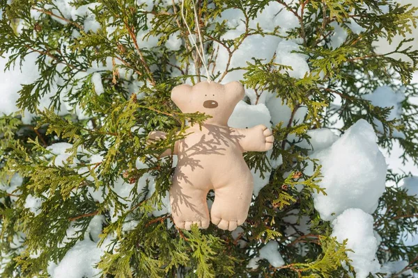 Hello winter, a green bush covered with snow with textile Christmas bear toy