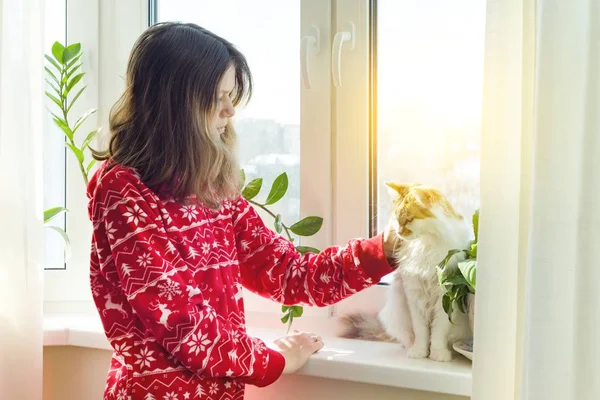 Heure d'hiver à la maison, jeune fille en pyjama chaud d'hiver avec un chat regardant par la fenêtre — Photo