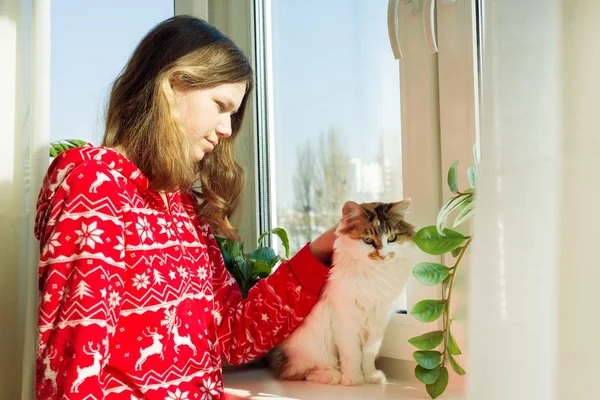 Wintertijd thuis, jong meisje in de winter warme pyjama met een kat die uitkijkt op het raam — Stockfoto