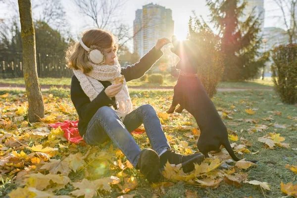 Fille enfant jouer avec dachshund chien en automne parc ensoleillé — Photo