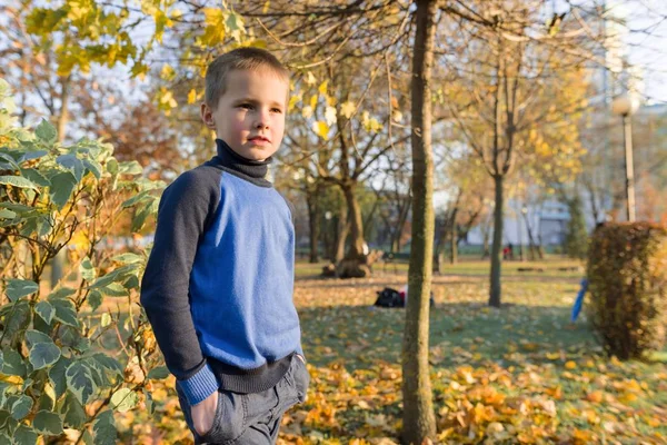 Portret van jongen kind in zonnige herfst Park, achtergrond Maple Tree — Stockfoto