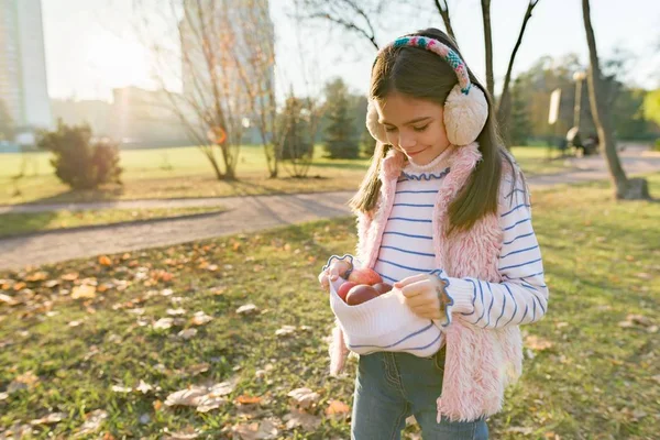 Skörd, liten vacker flicka med äpplen i höst parken — Stockfoto