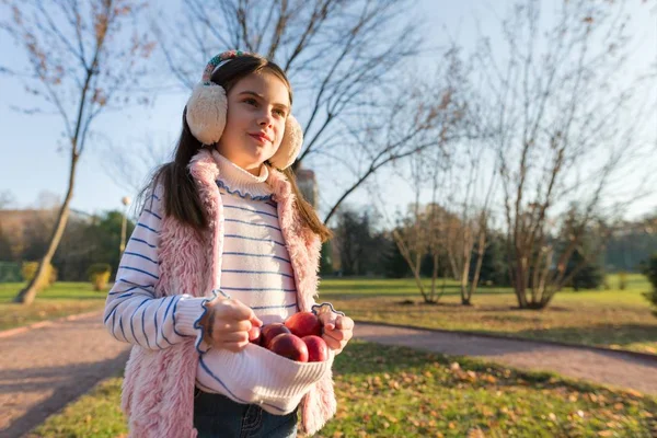 Cosecha, niña hermosa con manzanas en el parque de otoño — Foto de Stock