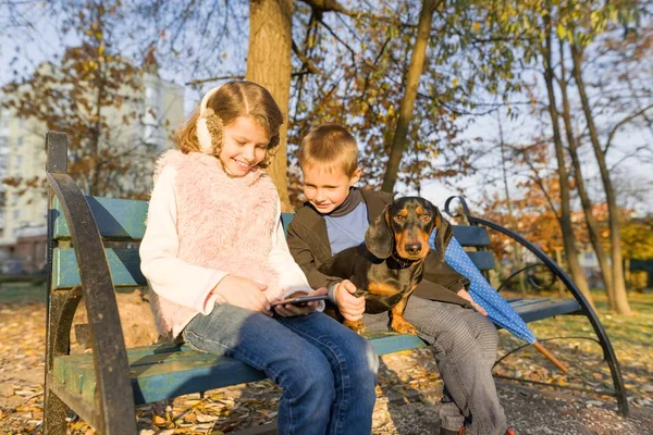 Children sitting on bench in park with dog, look at smartphone