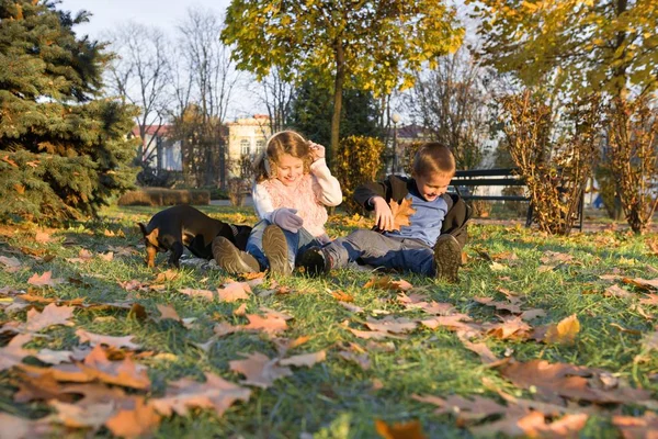 Enfants heureux jouant avec le chien dans le parc ensoleillé d'automne — Photo