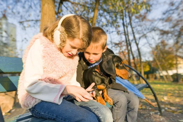 Barn sitter på bänken i Park med hund, titta på smartphone — Stockfoto