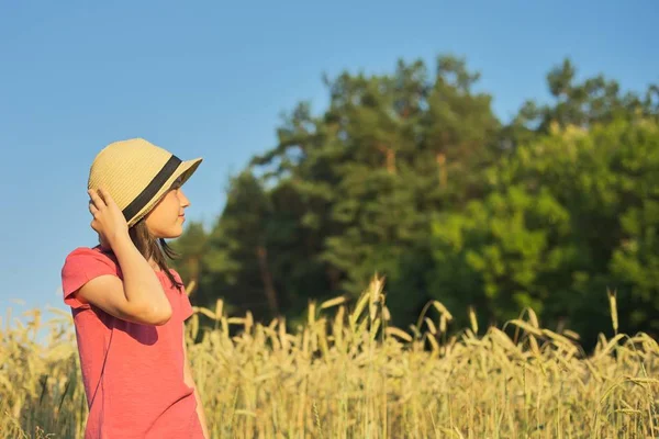 Portret pięknej dziewczyny w kapeluszu w polu pszenicy — Zdjęcie stockowe