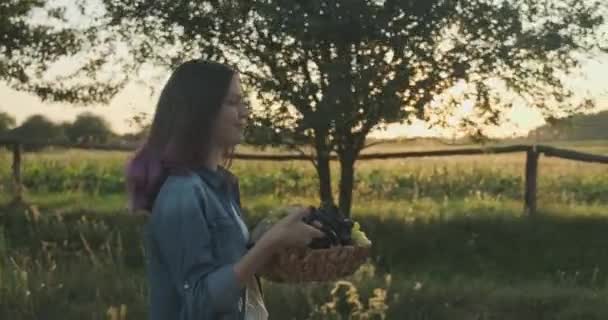 Jeune belle fille marche avec panier de raisins — Video