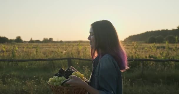 Jonge Mooie Meisje Wandelen Met Een Mand Van Druiven Landelijke — Stockvideo