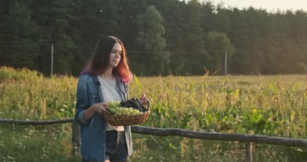 年轻的美丽女孩走着一篮子葡萄 乡村风景背景 自然黄金时间 — 图库视频影像