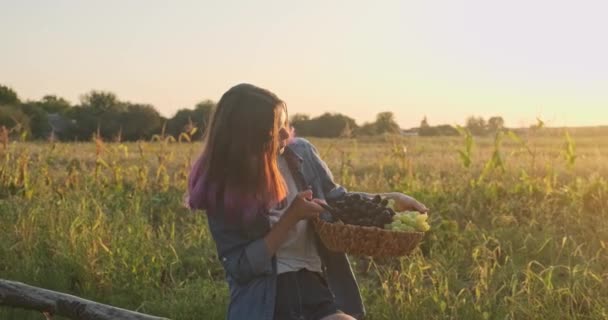 篮子与收获的蓝色和绿色葡萄在年轻女孩手中 质朴的风格 自然景观黄金小时 — 图库视频影像