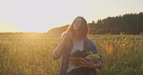 有機新鮮なブドウのバスケットを保持し ブドウを食べる若い美しい女の子 素朴なスタイル 自然景観ゴールデンアワー — ストック動画