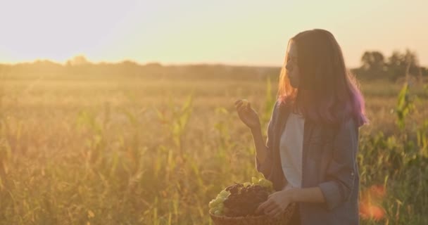 年轻的美丽女孩拿着一篮子有机新鲜葡萄和吃葡萄 质朴的风格 自然景观黄金时间 — 图库视频影像