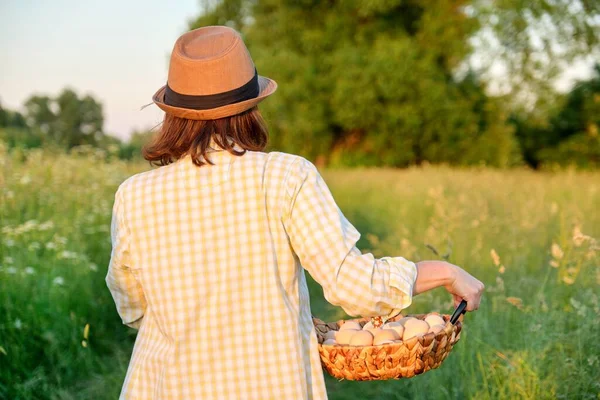 Donna agricoltore azienda cesto di uova fresche, natura, giardino, sfondo campagna — Foto Stock