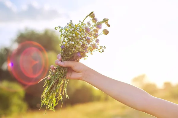 女の子の手で夏の野の花の花束、雲の背景に空、日没の太陽の照明 — ストック写真