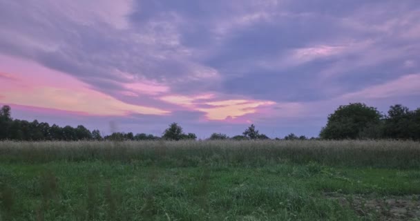 Včasný letní západ slunce v přírodě, dramatická obloha s pohybujícími se tmavorůžovými purpurovými mraky. Večer, noc, čas vypršel — Stock video