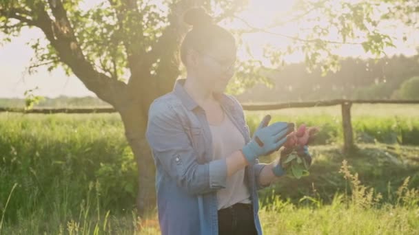 Boldog női kertész friss retekkel vidéken, betakarítás, zöldségkert, mezőgazdaság és egészséges természetes élelmiszer koncepció — Stock videók