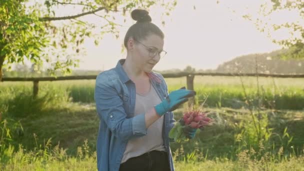 Feliz jardinero femenino con rábano fresco en el campo, cosecha, huerta, agricultura y concepto de comida natural saludable — Vídeos de Stock