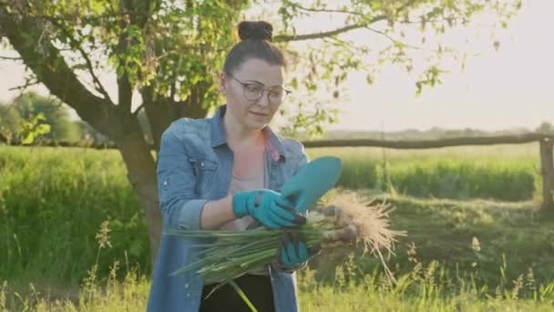 Feliz jardinero femenino con cebolla verde fresca en el campo, cultivo, huerta, agricultura y concepto de alimentos naturales saludables — Vídeos de Stock