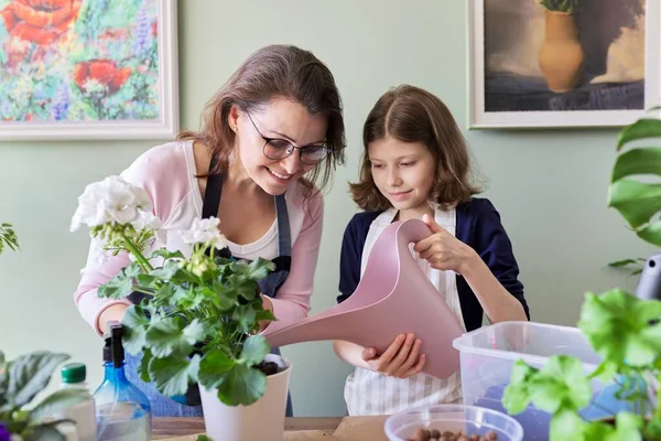 母と娘の子供は一緒にポットで屋内植物の世話をします — ストック写真