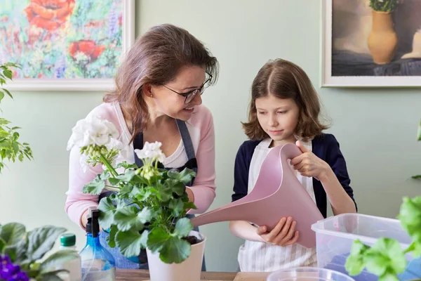 Мать и дочь вместе заботиться о комнатных растений в горшках — стоковое фото
