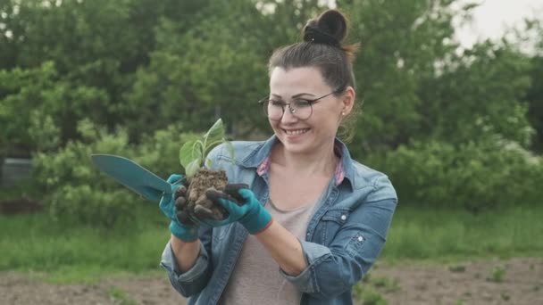 Vrouw houdt zaailing van kool in haar handen in de moestuin. Lente tuinieren, hobby, landbouwconcept — Stockvideo