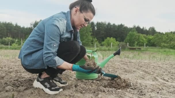 Жінка вирощує розсаду капусти на весняному городі. Весняне садівництво, хобі, вирощування їжі, здорове життя — стокове відео