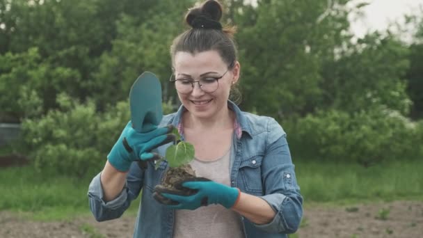 Kvinna håller plantor av kål i sina händer i grönsaksträdgården. Trädgårdsskötsel, hobby, lantbrukskoncept — Stockvideo