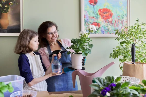 Мати і дочка доглядають разом за квіткою будинку в горщику, дівчина посипає розпилювач на рослині — стокове фото