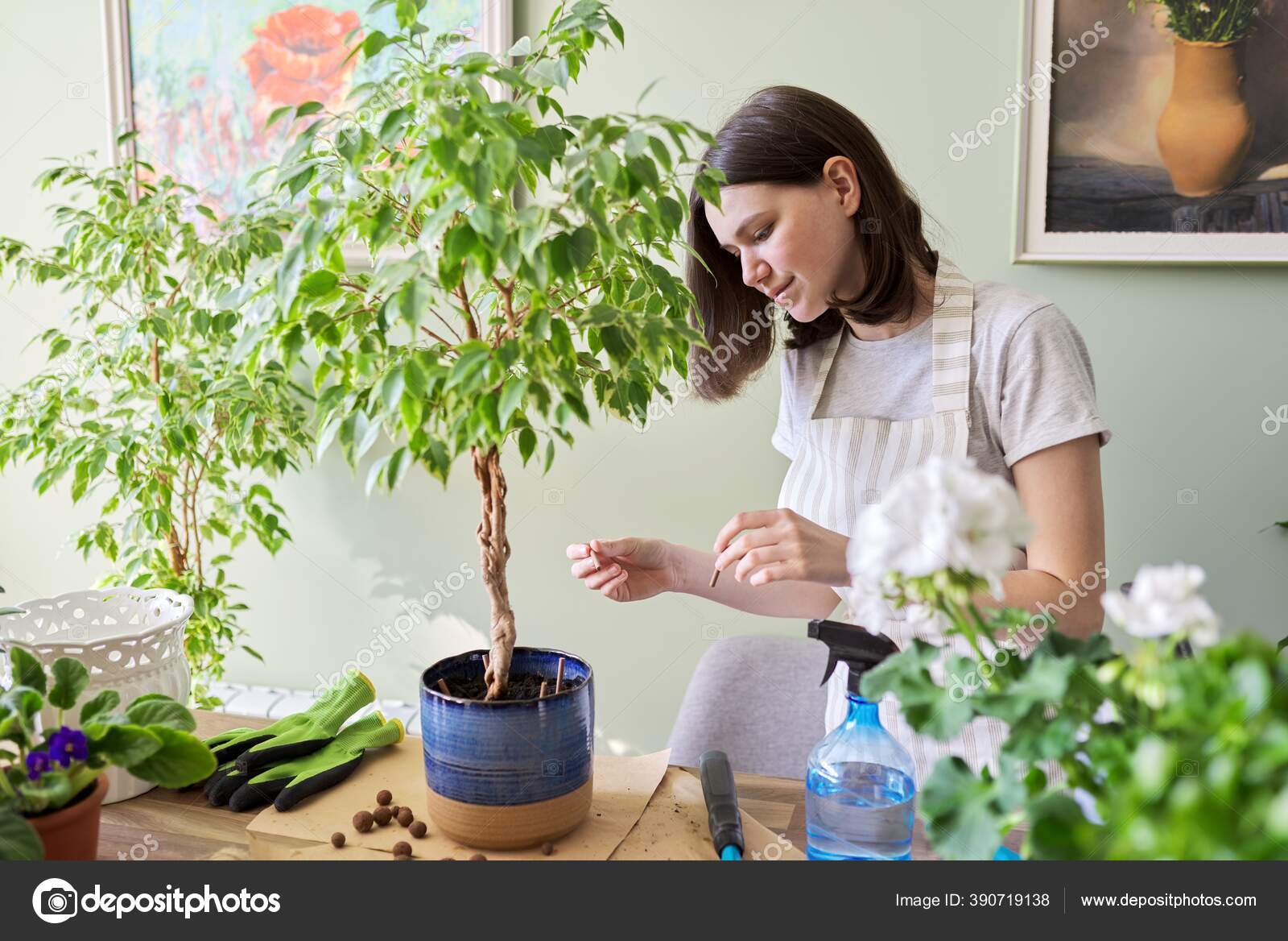 Jeune Femme Fertilisant Une Plante De Cactus à La Maison