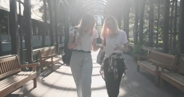 Dos niñas sonrientes felices hablando estudiantes adolescentes caminando juntos — Vídeo de stock