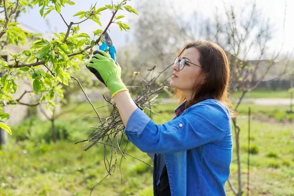 Lente snoeituin, vrouw met tuinschaar snoeien aan fruitbomen — Stockfoto