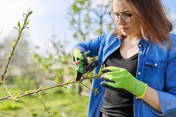 Lente snoeituin, vrouw met tuinschaar snoeien aan fruitbomen — Stockfoto