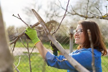 Bahçe testereli eldivenli kadın bahçıvan dalları kesiyor.