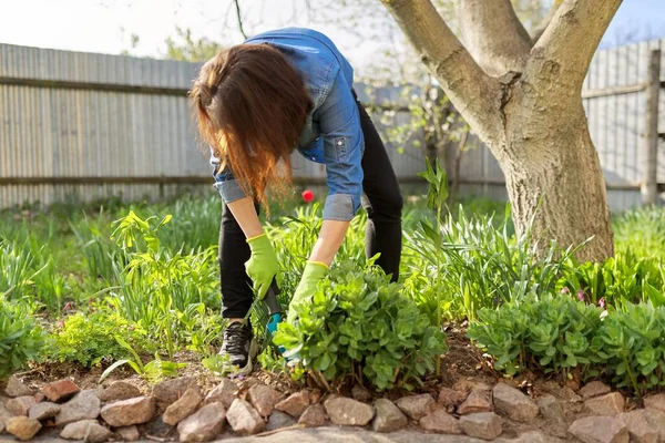 Vrouw kweken van groene planten en bloemen met tuinschop, sedum close-up — Stockfoto