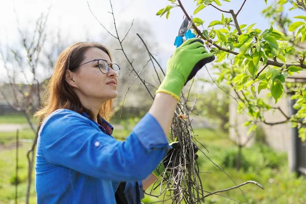 Kebun musim semi, tukang kebun wanita dalam sarung tangan dengan pemangkas, membentuk pohon pir — Stok Foto